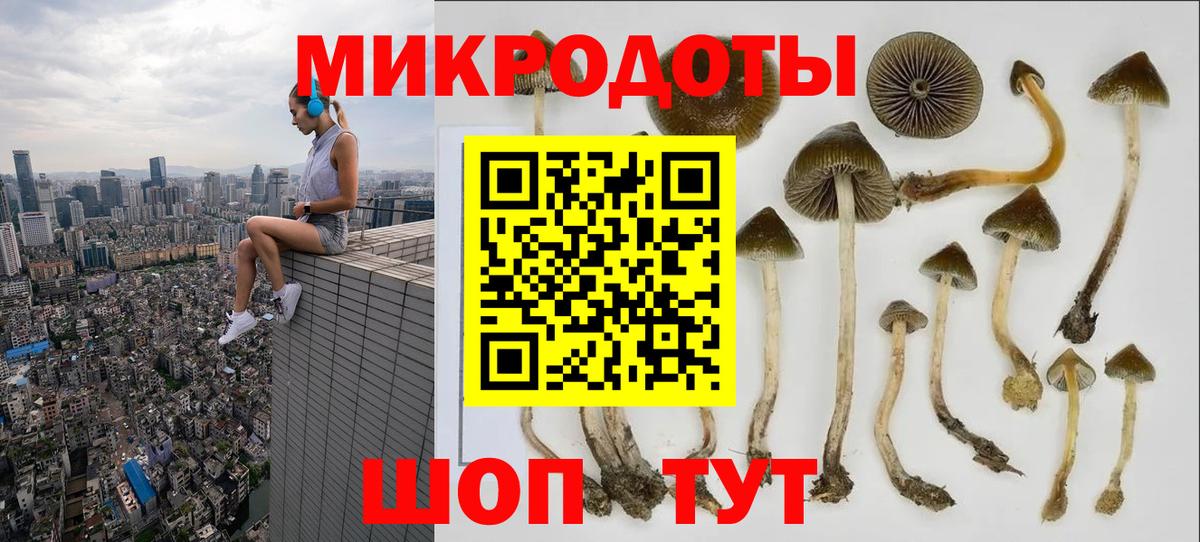 Псилоцибиновые грибы GOLDEN TEACHER  Вход с VPN  Ставрополь 