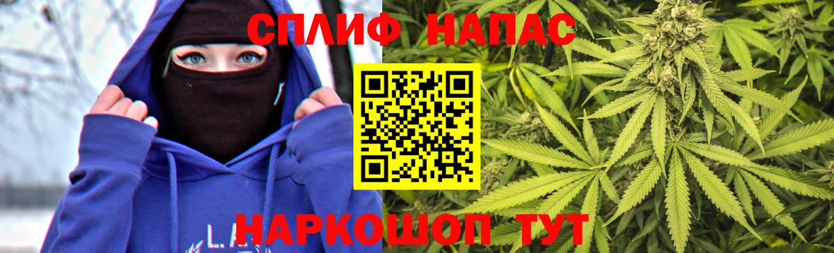 Бошки Шишки планчик  Конопля планчик  Бошки Шишки ГИДРОПОН  Вход с VPN  Ставрополь  Шишки марихуана Bruce Banner 